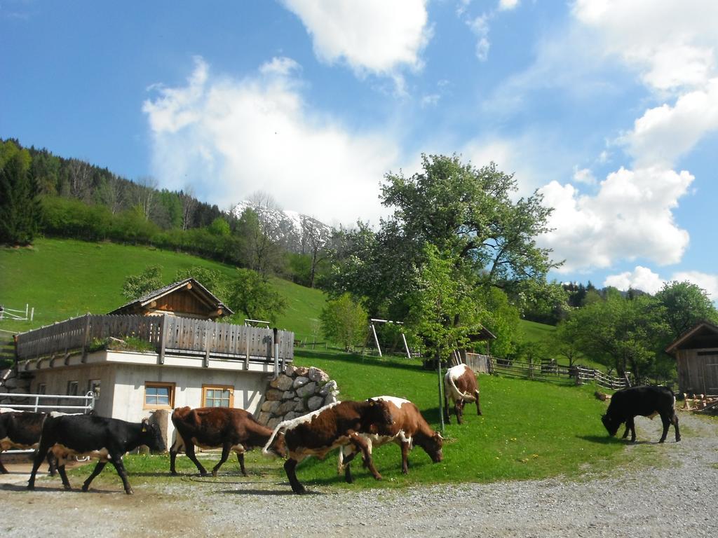 Berghof Thurnergut Spital Am Pyhrn Exteriér fotografie