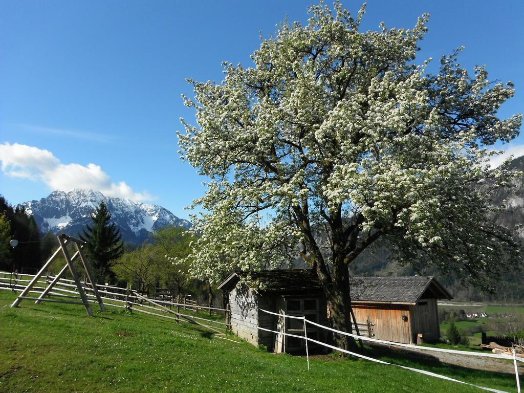 Berghof Thurnergut Spital Am Pyhrn Exteriér fotografie