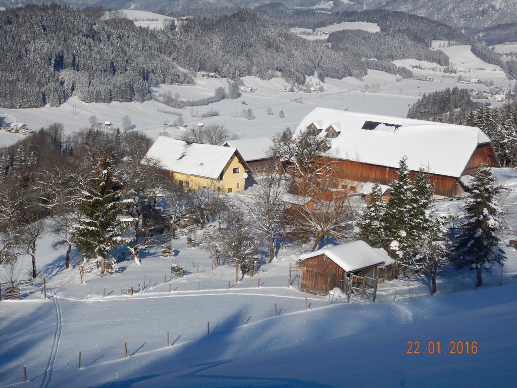 Berghof Thurnergut Spital Am Pyhrn Exteriér fotografie
